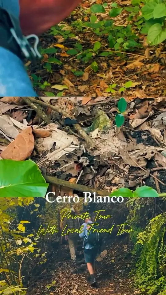 Reel cover: a hiker on a forest trail, titled Cerro Blanco, private tour with Local Friend Tour
